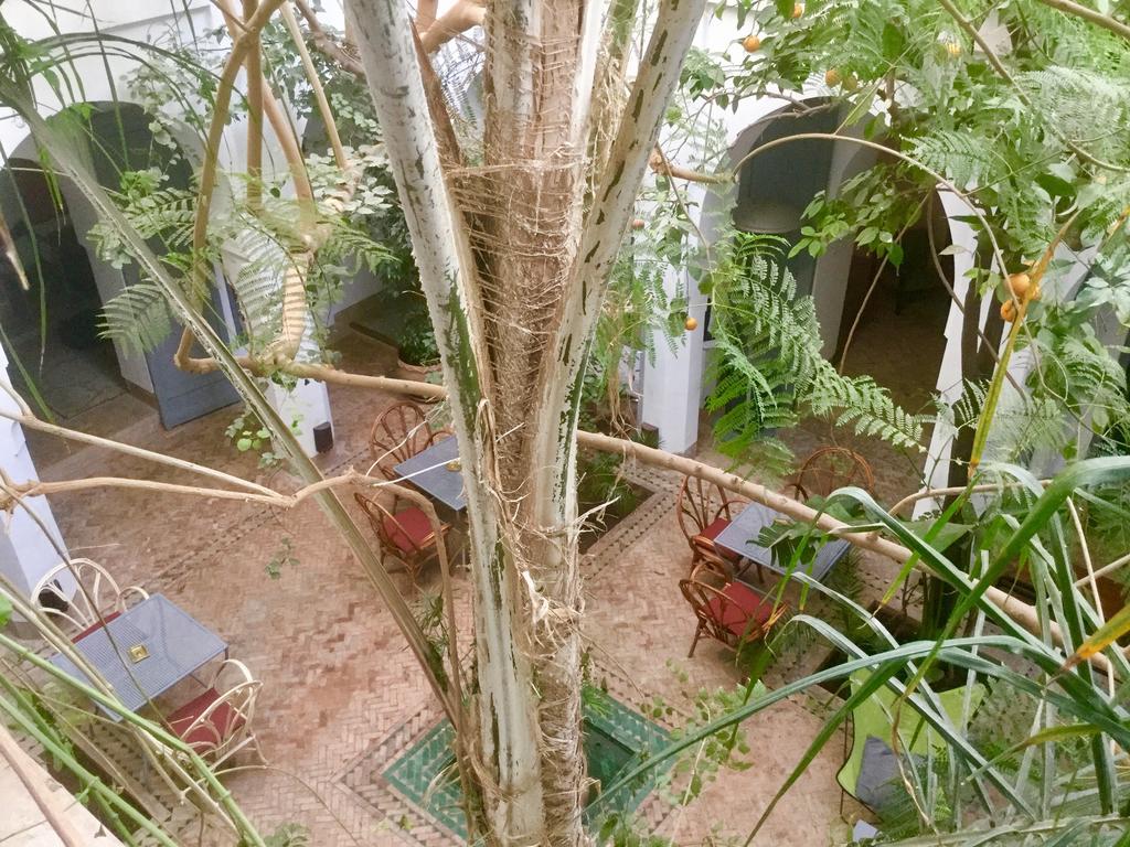 Dar Binebine Hotell Marrakesh Exteriör bild