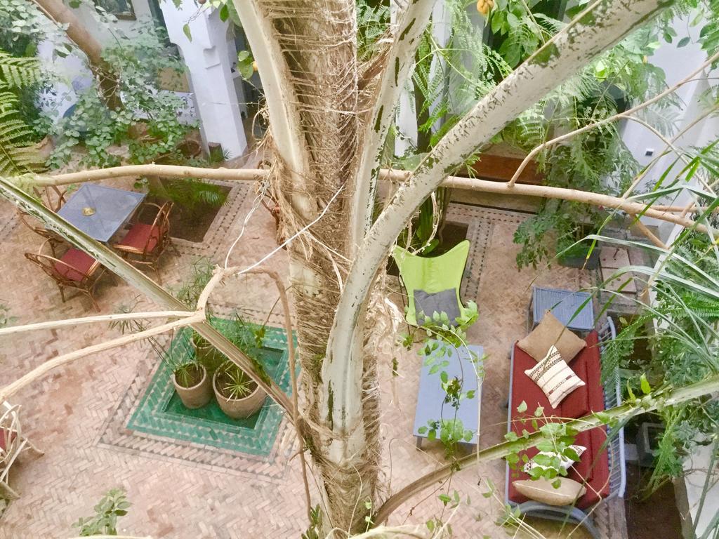 Dar Binebine Hotell Marrakesh Exteriör bild